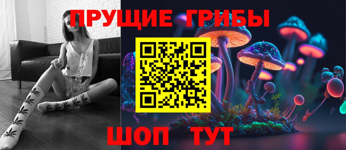 Псилоцибиновые грибы Cubensis Канаш