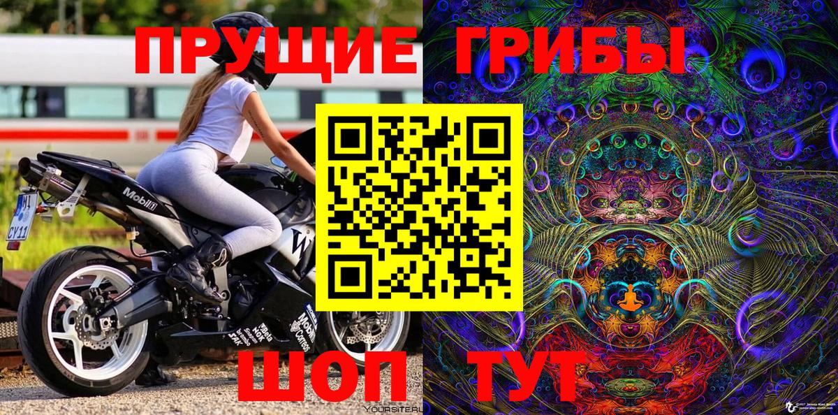 где купить   Псилоцибиновые грибы Magic Shrooms  Вход с VPN  Канаш 